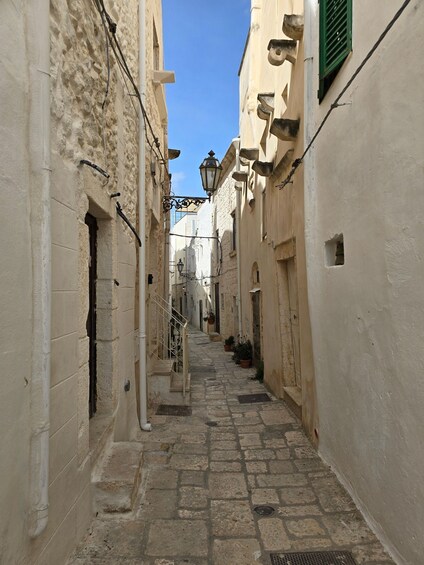 Picture 37 for Activity Brindisi: Alberobello, Locorotondo and Ostuni with Aperitif