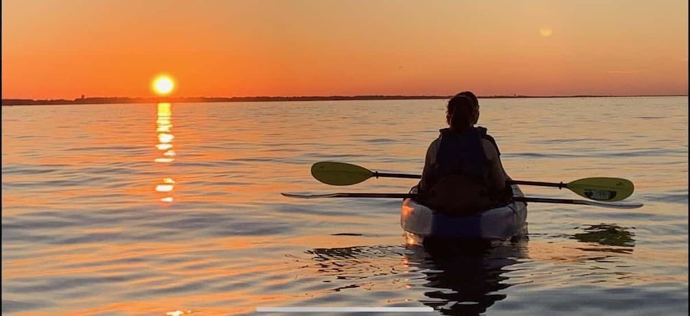 Picture 1 for Activity Anna Maria Island and Bradenton: Sunset Kayak Dolphin Tour