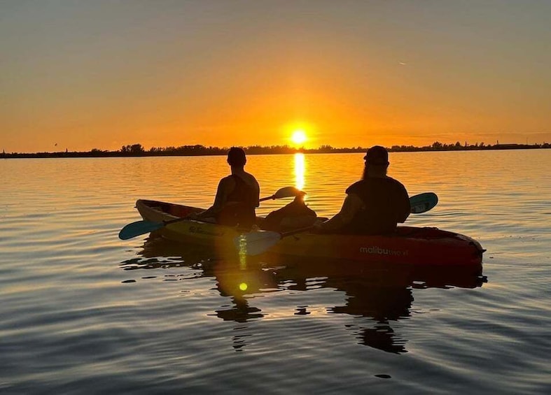 Picture 5 for Activity Anna Maria Island and Bradenton: Sunset Kayak Dolphin Tour