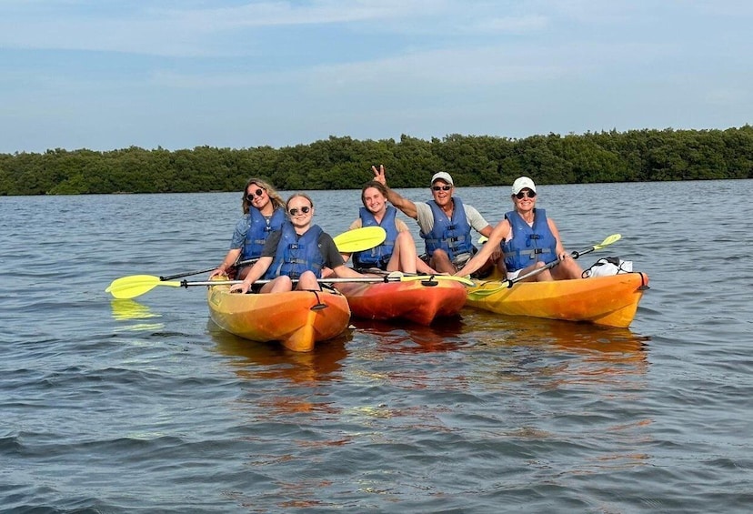 Picture 28 for Activity Anna Maria Island and Bradenton: Sunset Kayak Dolphin Tour