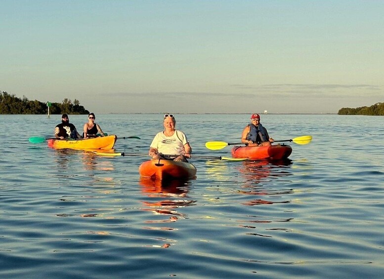 Picture 13 for Activity Anna Maria Island and Bradenton: Sunset Kayak Dolphin Tour