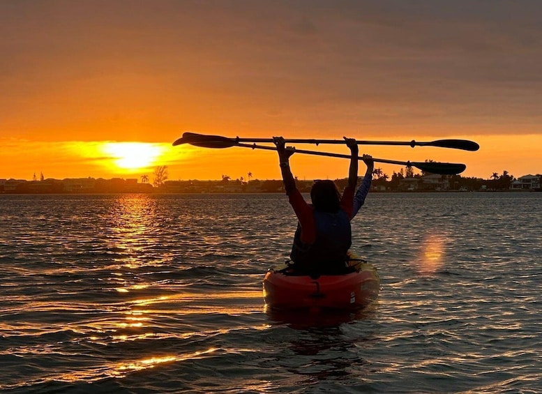 Picture 8 for Activity Anna Maria Island and Bradenton: Sunset Kayak Dolphin Tour