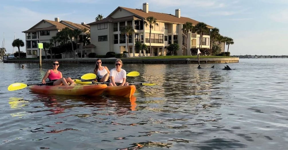 Picture 30 for Activity Anna Maria Island and Bradenton: Sunset Kayak Dolphin Tour