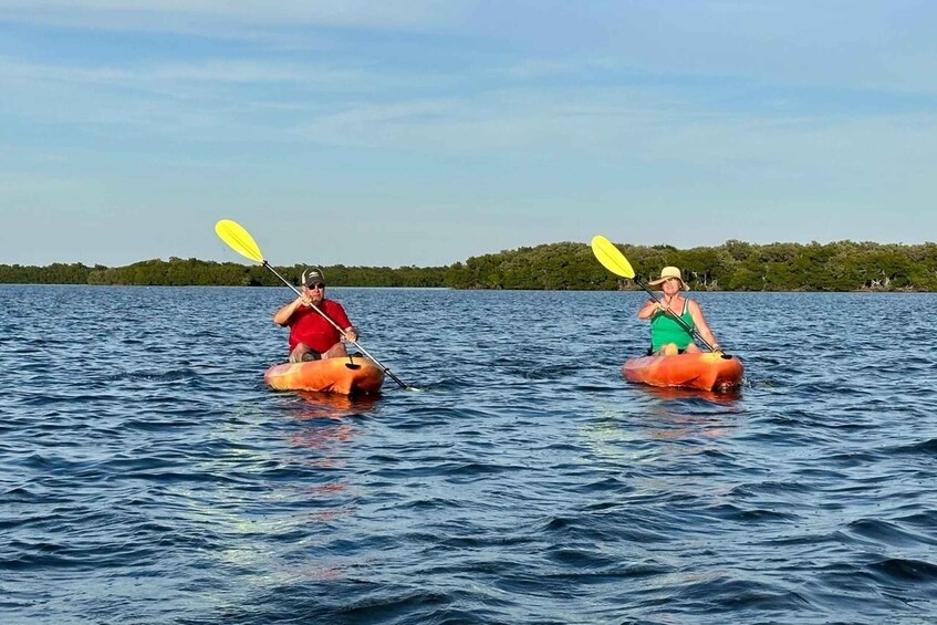 Picture 24 for Activity Anna Maria Island and Bradenton: Sunset Kayak Dolphin Tour