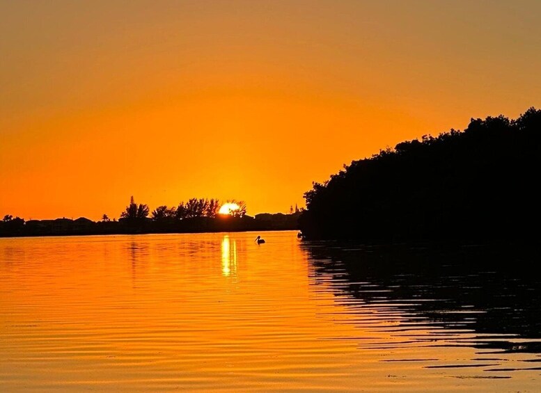 Picture 11 for Activity Anna Maria Island and Bradenton: Sunset Kayak Dolphin Tour