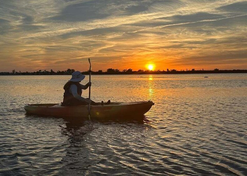 Picture 22 for Activity Anna Maria Island and Bradenton: Sunset Kayak Dolphin Tour