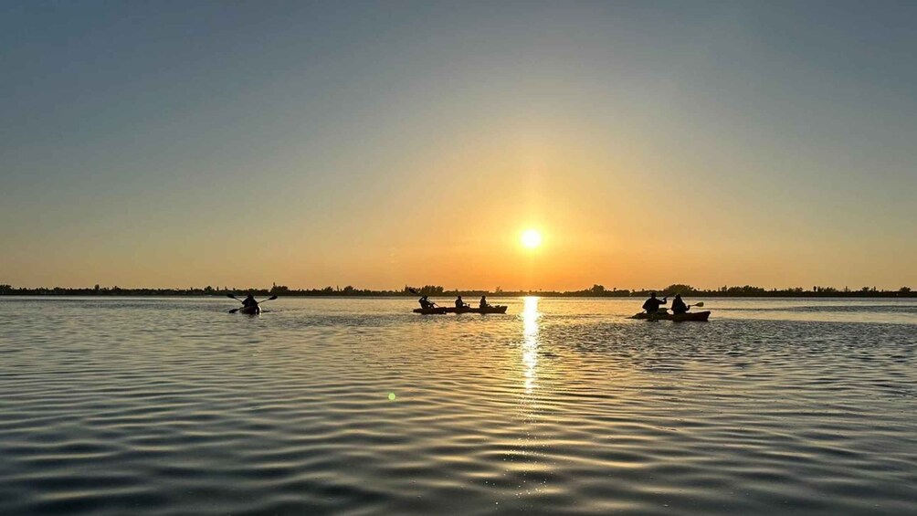 Picture 19 for Activity Anna Maria Island and Bradenton: Sunset Kayak Dolphin Tour