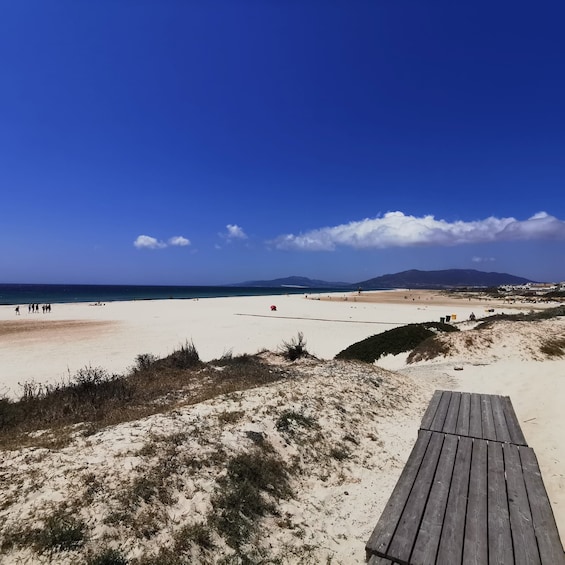 Picture 1 for Activity From Cadiz: Tarifa & Roman Ruins