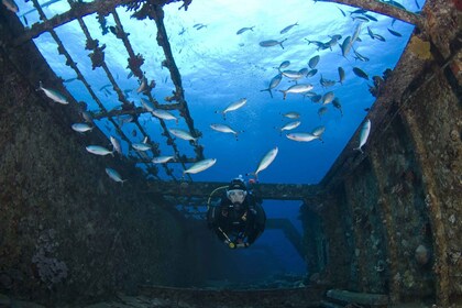 Excursión en moto de agua al barco Thermomylae Sierra