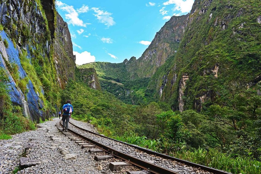 Picture 3 for Activity Private Tour: Inca Jungle, adventure to Machu Picchu 3 Days