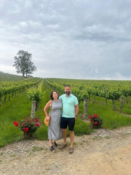 Picture 54 for Activity From Adelaide: Divine Wine Tour in the Adelaide Hills