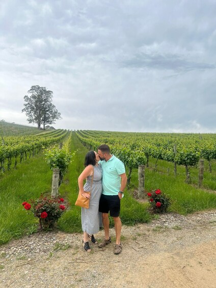 Picture 56 for Activity From Adelaide: Divine Wine Tour in the Adelaide Hills