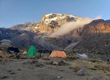 7 Días Escalada Kilimanjaro Ruta Rongai + 2 Noches Estancia Hotel