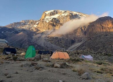 7 días para subir al Kilimanjaro por la ruta Rongai y 2 noches de hotel