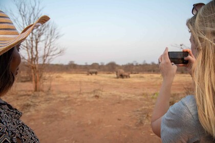 Safari Drive & Rhino Walks in Mosi-oa-Tunya National Park