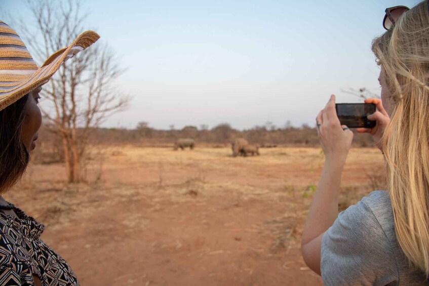 Safari Drive & Rhino Walks in Mosi-oa-Tunya National Park