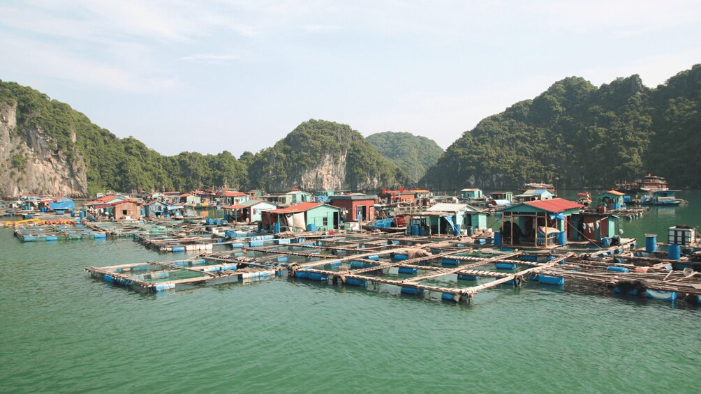 Picture 8 for Activity Cat Ba: Lan Ha & Ha Long Bay Kayak & Snorkel Boat Tour