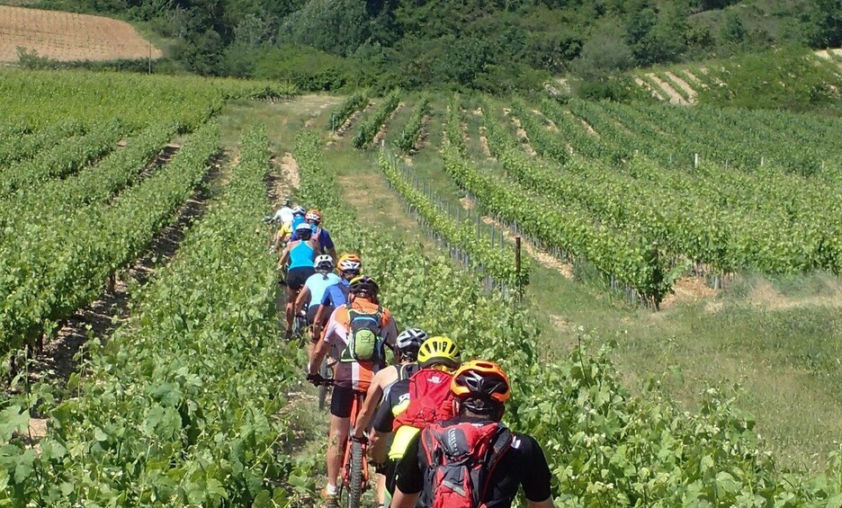 Picture 3 for Activity Saint Montan: Electric Bike Wine Tour & Tasting