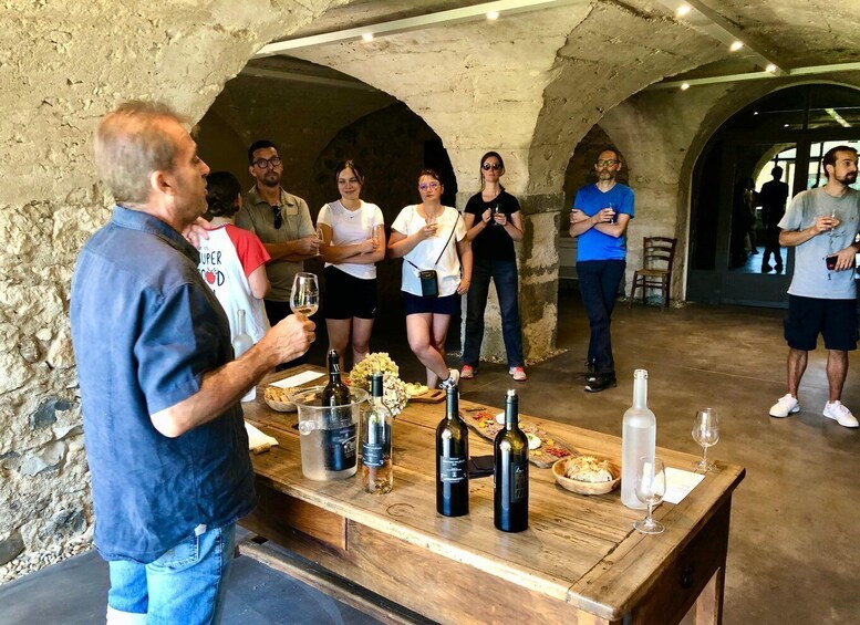 Picture 4 for Activity Saint Montan: Electric Bike Wine Tour & Tasting