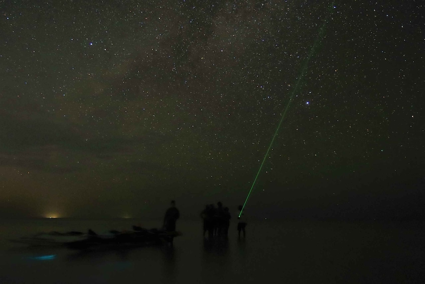 Picture 1 for Activity Holbox: Stars and Bioluminescent Marine Life Kayaking Tour