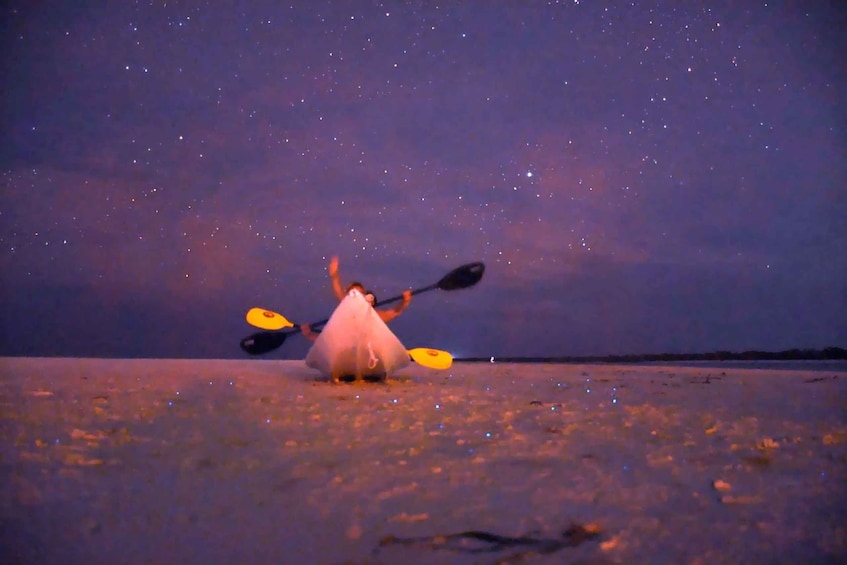 Picture 2 for Activity Holbox: Stars and Bioluminescent Marine Life Kayaking Tour
