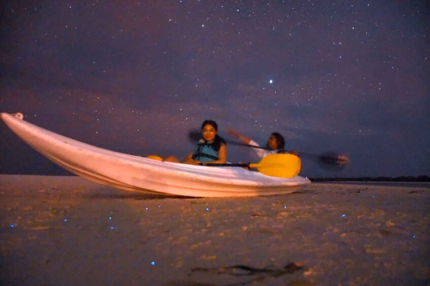 Picture 4 for Activity Holbox: Stars and Bioluminescent Marine Life Kayaking Tour