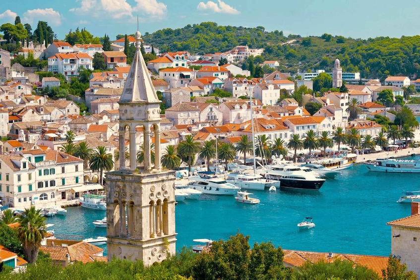 Picture 8 for Activity Makarska: 4-Island, Blue Cave Tour & The Best of Vis & Hvar