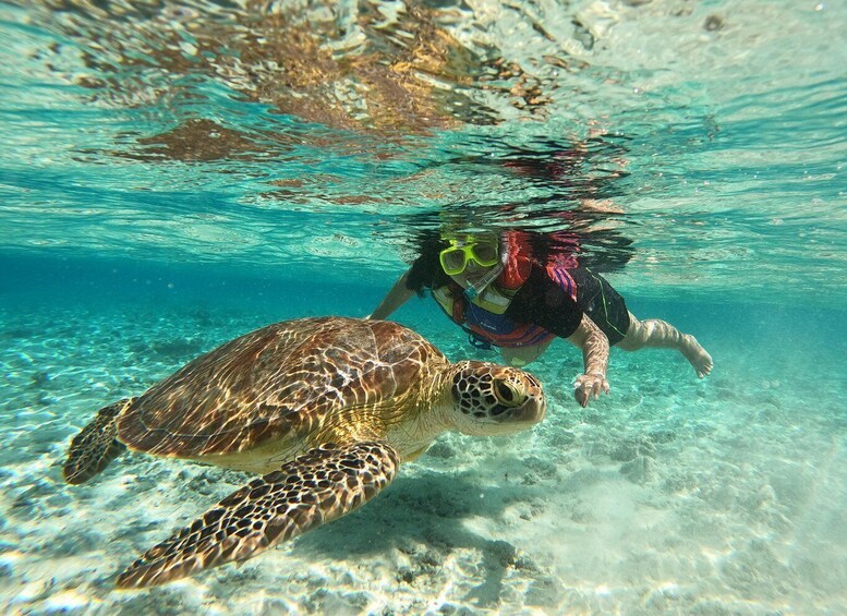 Picture 11 for Activity From Gili Trawangan: Gili Islands Snorkeling Tour by Boat