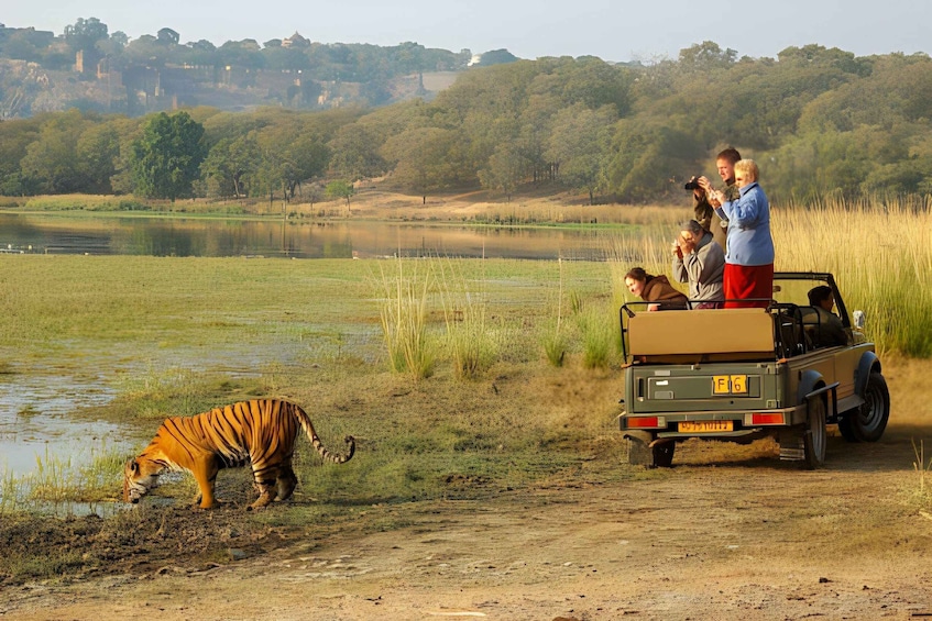 From Jaipur : 2 Days Ranthambore Tiger Safari Tour By Car