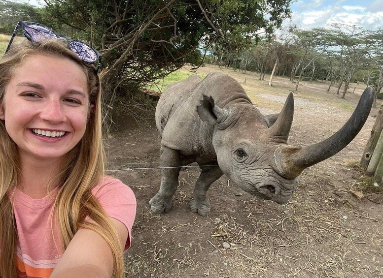 Picture 4 for Activity 3 Days Ol Pejeta Conservancy Luxury Safari on 4x4 Jeep