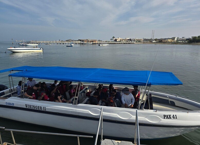 Picture 13 for Activity Paracas: Ballestas Islands Guided Boat tour all inclusive