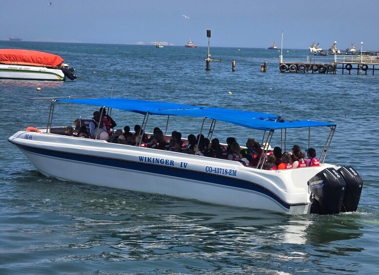 Picture 6 for Activity Paracas: Ballestas Islands Guided Boat tour all inclusive