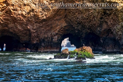 From Paracas: Ballestas Islands tour all Inclusive