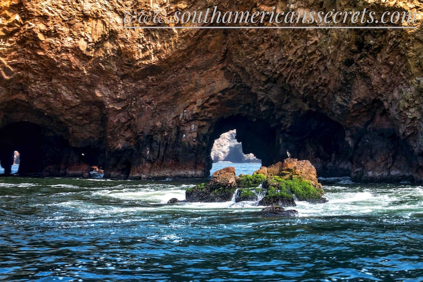 Picture 12 for Activity Paracas: Ballestas Islands Guided Boat tour all inclusive