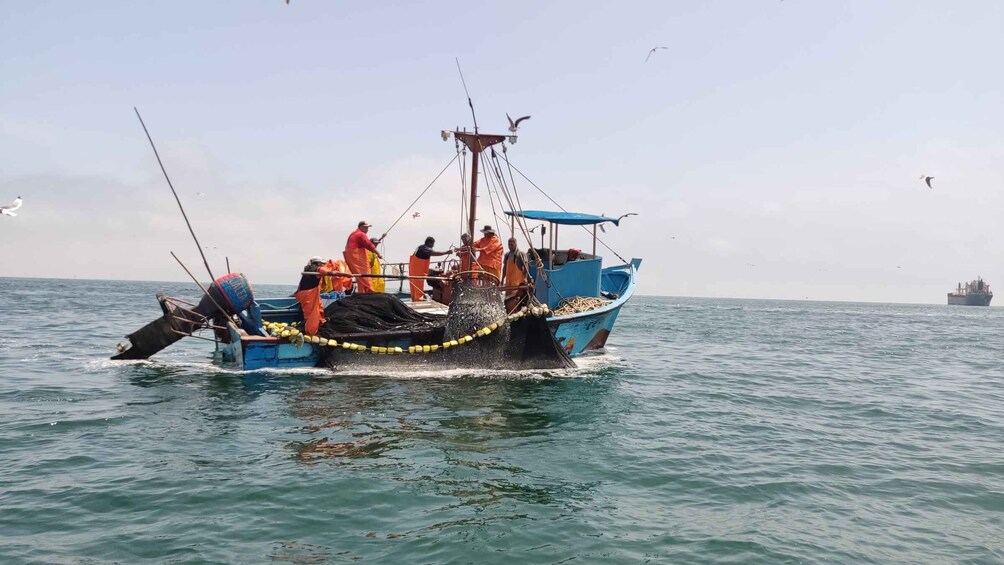 Picture 21 for Activity Paracas: Ballestas Islands Guided Boat tour all inclusive