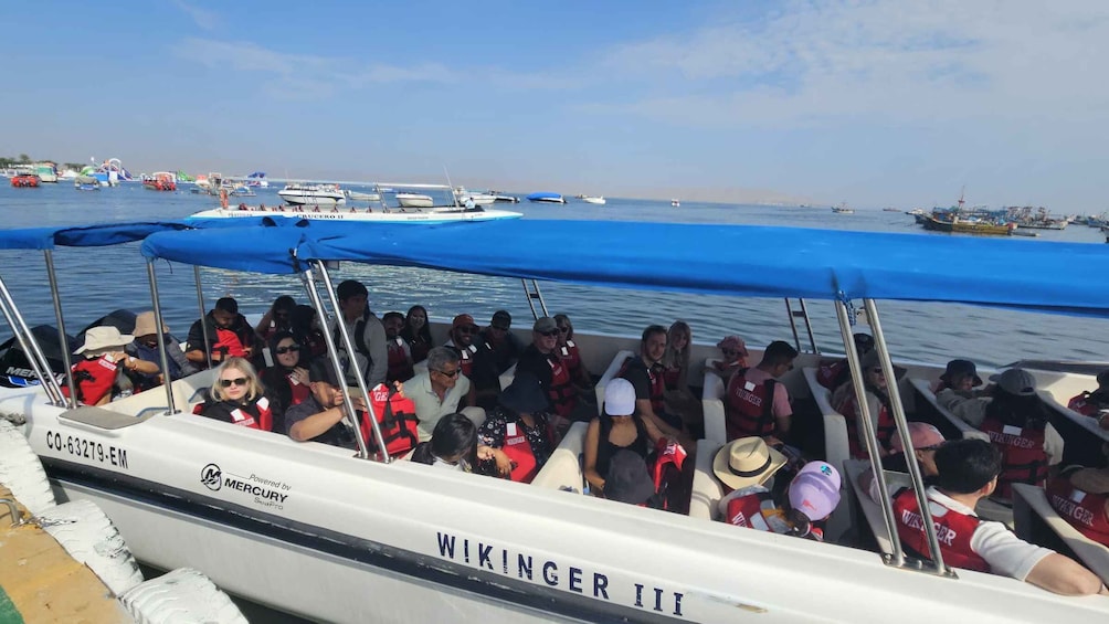 Picture 4 for Activity Paracas: Ballestas Islands Guided Boat tour all inclusive