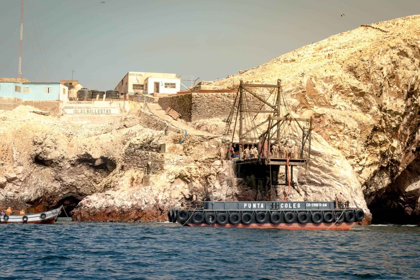 Picture 12 for Activity Paracas: Ballestas Islands Guided Boat tour all inclusive