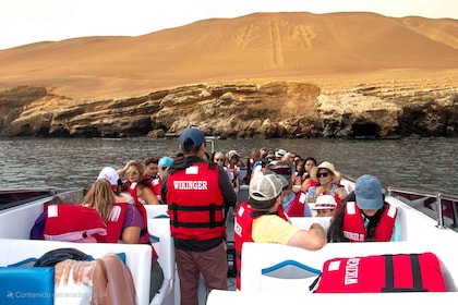 Paracas: Ballestas Islands tour all Inclusive