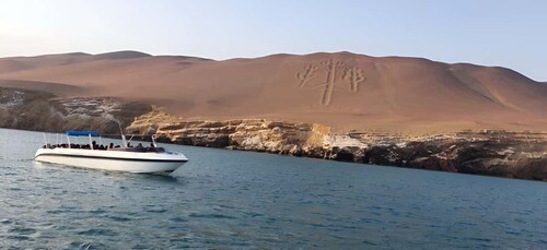 Paracas: Ballestas Islands Guided Boat tour all-inclusive