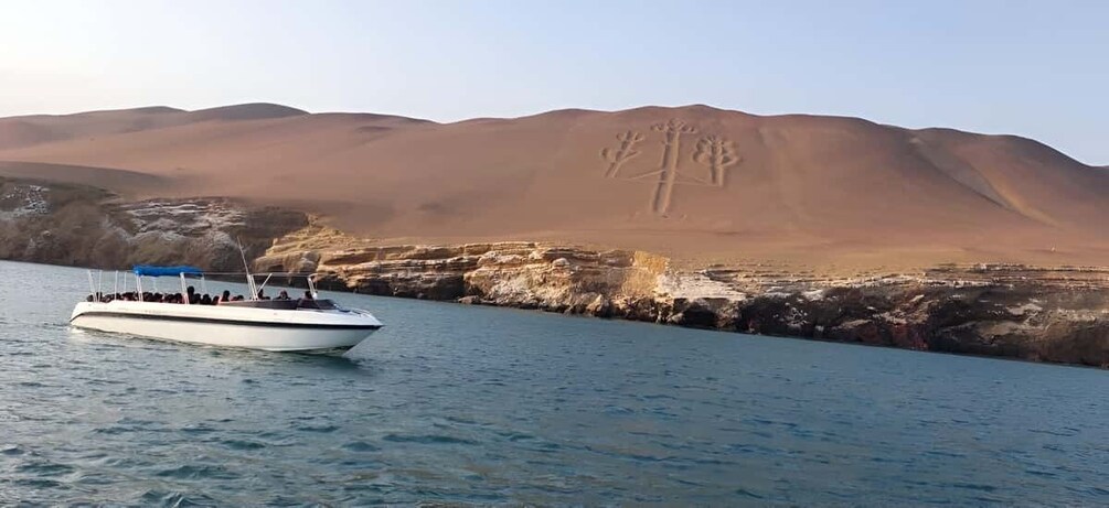 Paracas: Ballestas Islands Guided Boat tour all inclusive