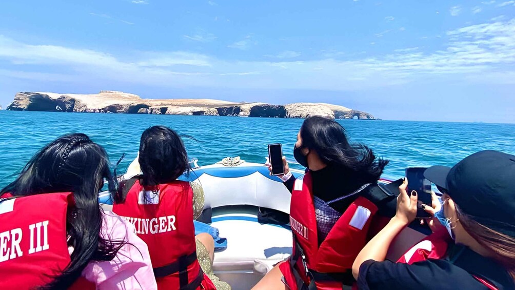 Picture 5 for Activity From Paracas: Ballestas Island Marine Wildlife Watching
