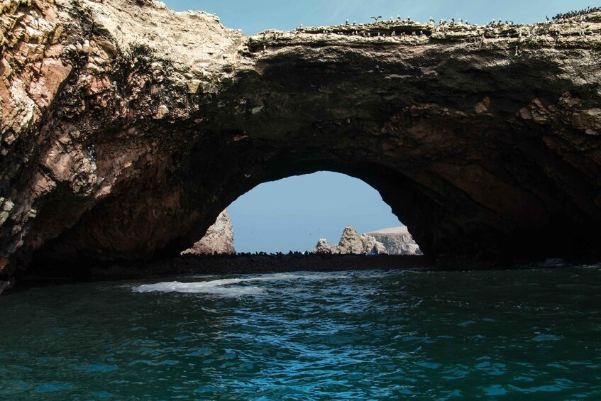 Picture 9 for Activity Paracas: Ballestas Islands Guided Boat tour all inclusive