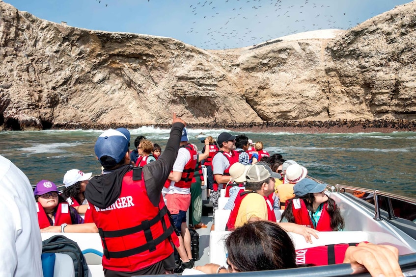 Picture 23 for Activity Paracas: Ballestas Islands Guided Boat tour all inclusive