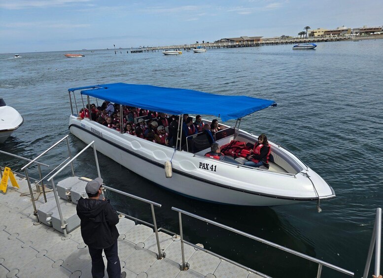 Picture 21 for Activity Paracas: Ballestas Islands Guided Boat tour all inclusive