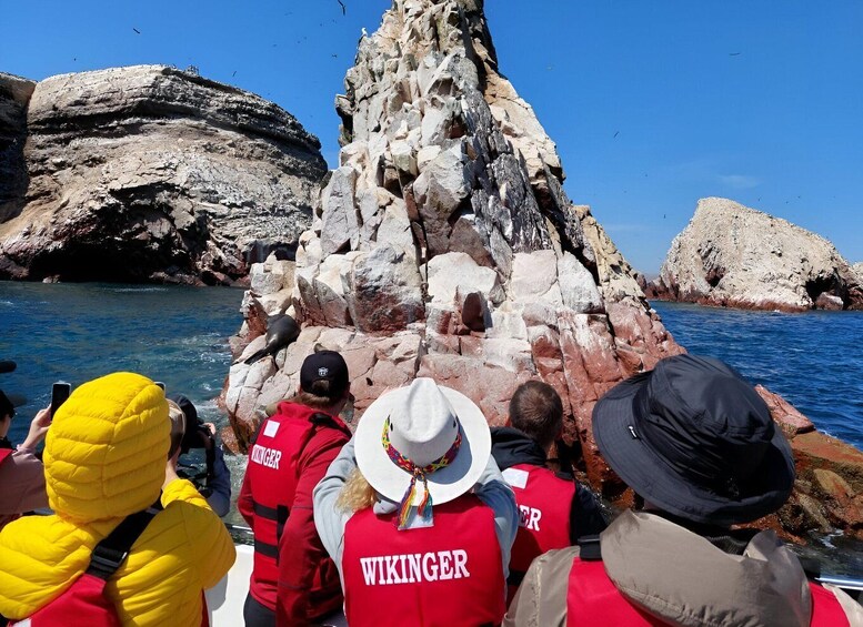 Picture 11 for Activity Paracas: Ballestas Islands Guided Boat tour all inclusive