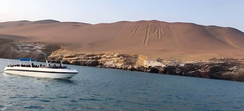 Paracas: Ballestas Islands Guided Boat tour all inclusive