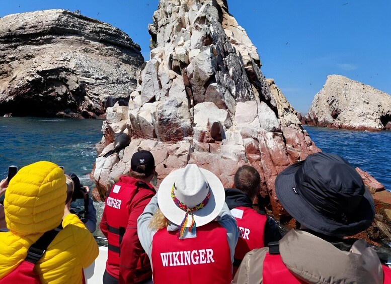 Picture 12 for Activity From Paracas: Ballestas Island Marine Wildlife Watching