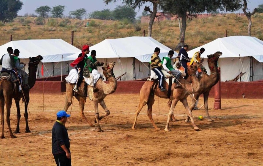 Picture 1 for Activity Jaisalmer: Jeep Safari,Camel Ride,Buffet Dinner & Folk Dance