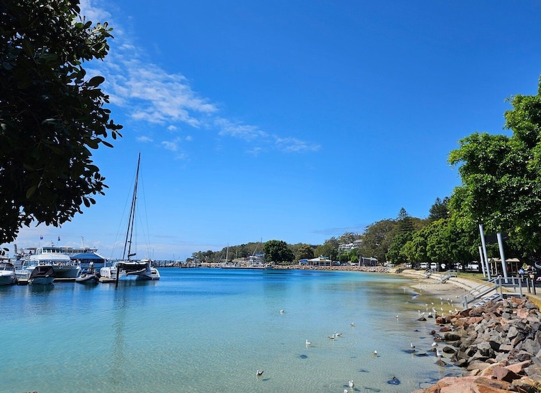 Sydney Port stephens