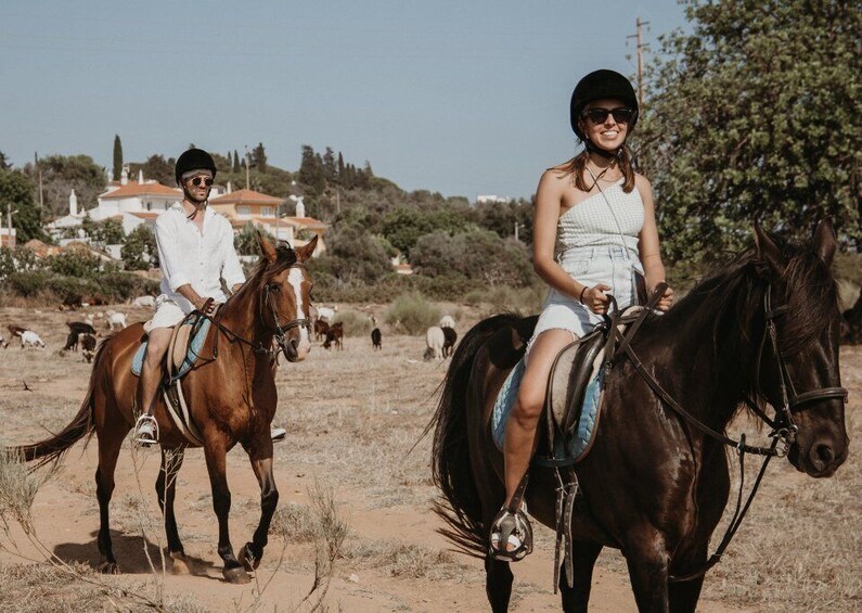 Picture 2 for Activity From Albufeira: Half-Day Hidden Gems & Horse Riding Tour